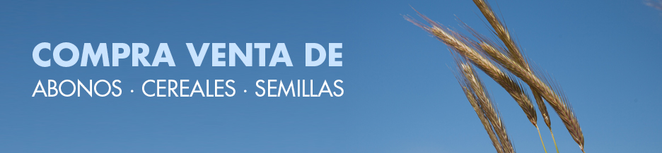 Banner 1